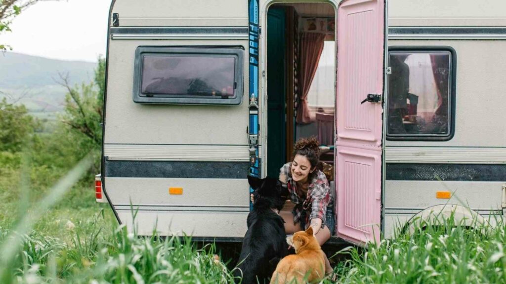 Tiere Camping