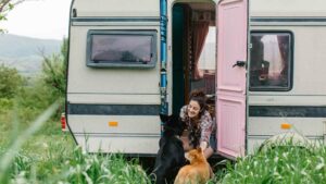 Tiere Camping
