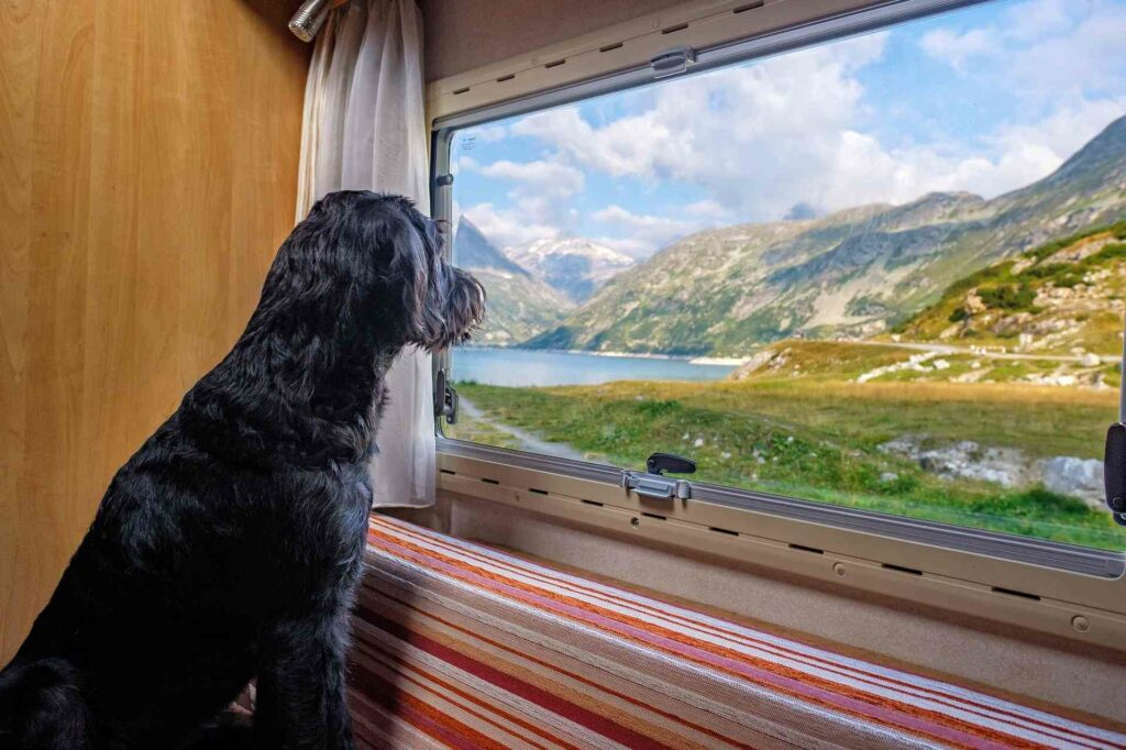 Camping mit Hund